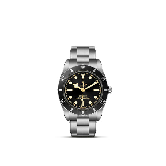 TUDOR BLACK BAY 54 M79000N-0001