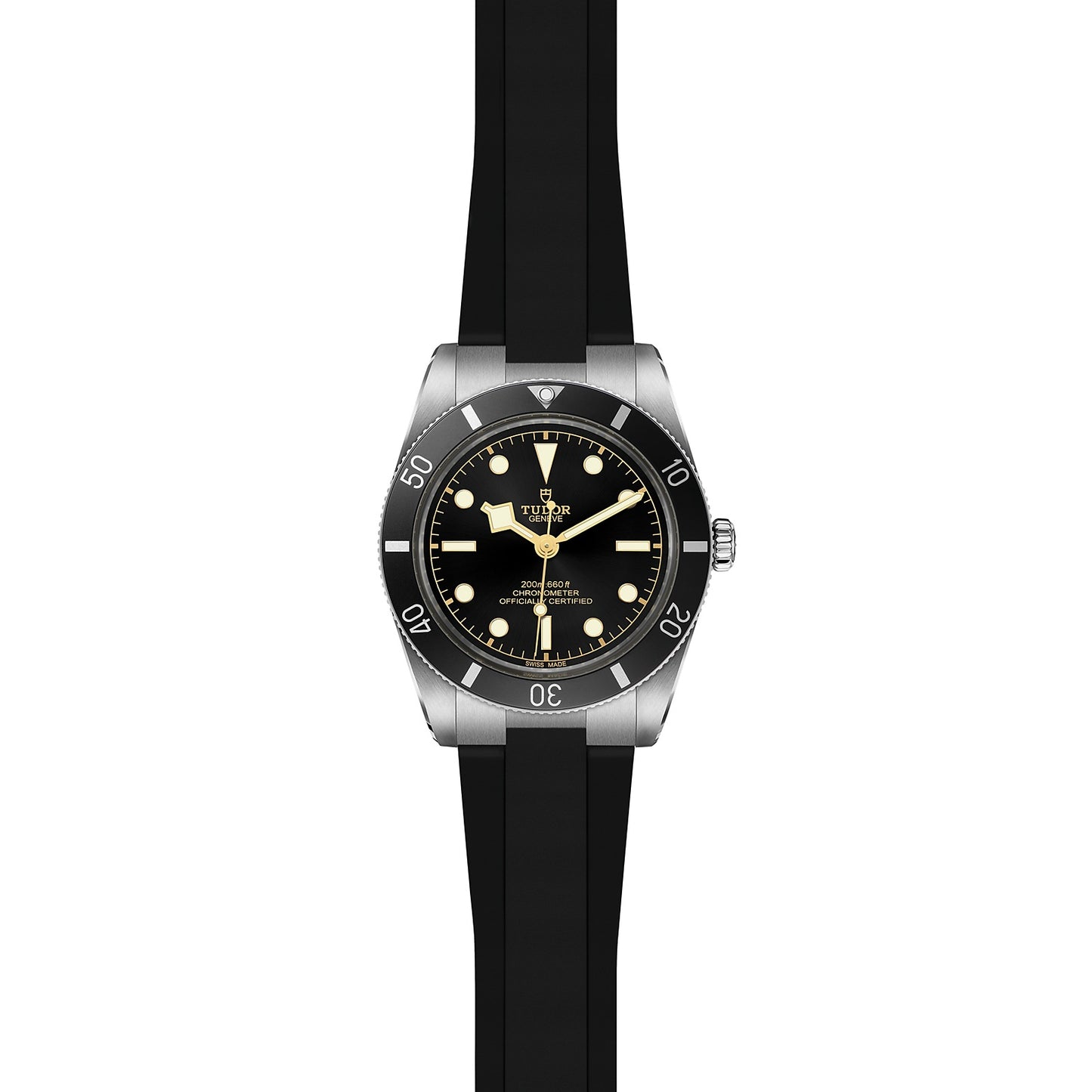 TUDOR BLACK BAY 54 M79000N-0002