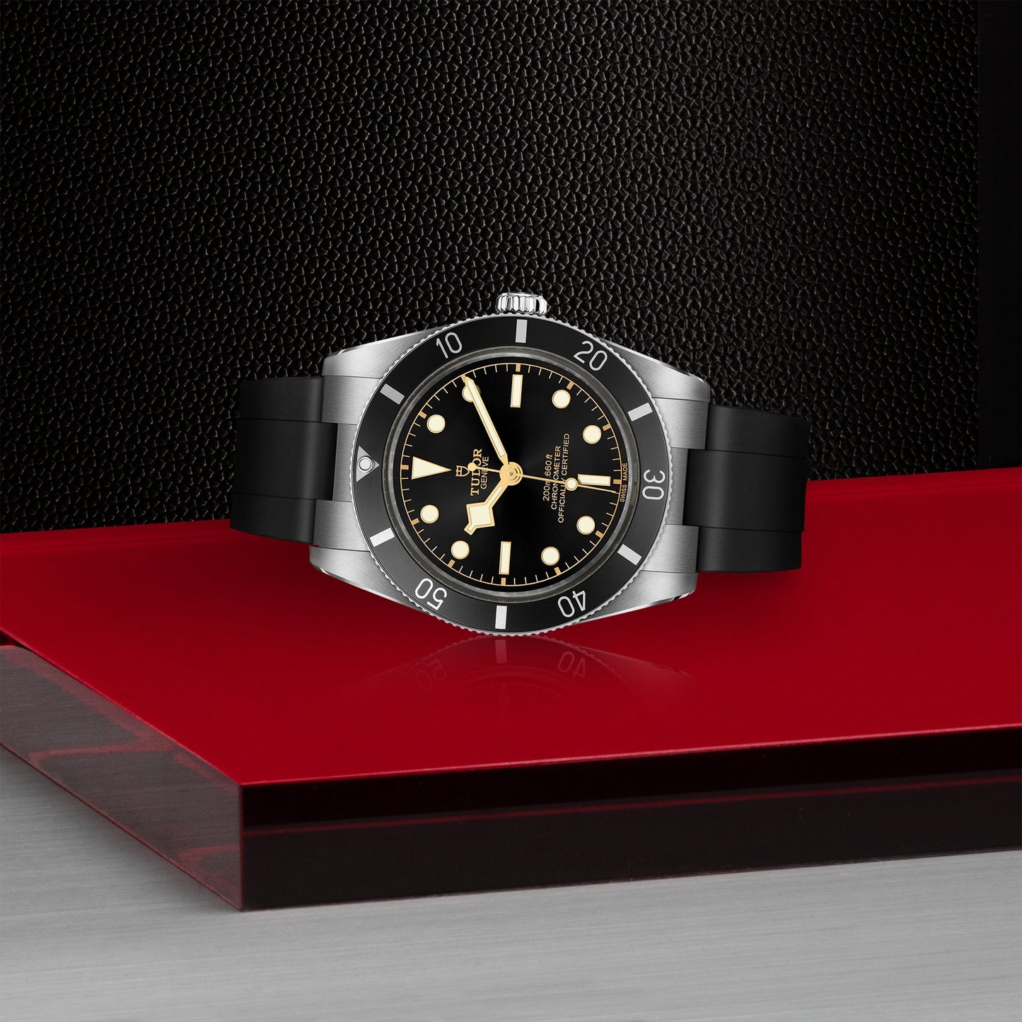 TUDOR BLACK BAY 54 M79000N-0002