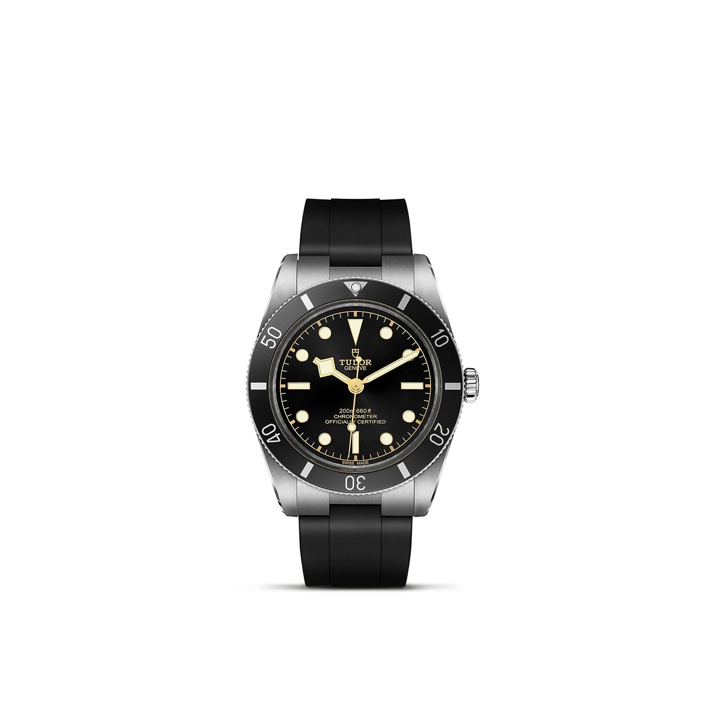 TUDOR BLACK BAY 54 M79000N-0002