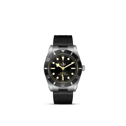 TUDOR BLACK BAY 54 M79000N-0002