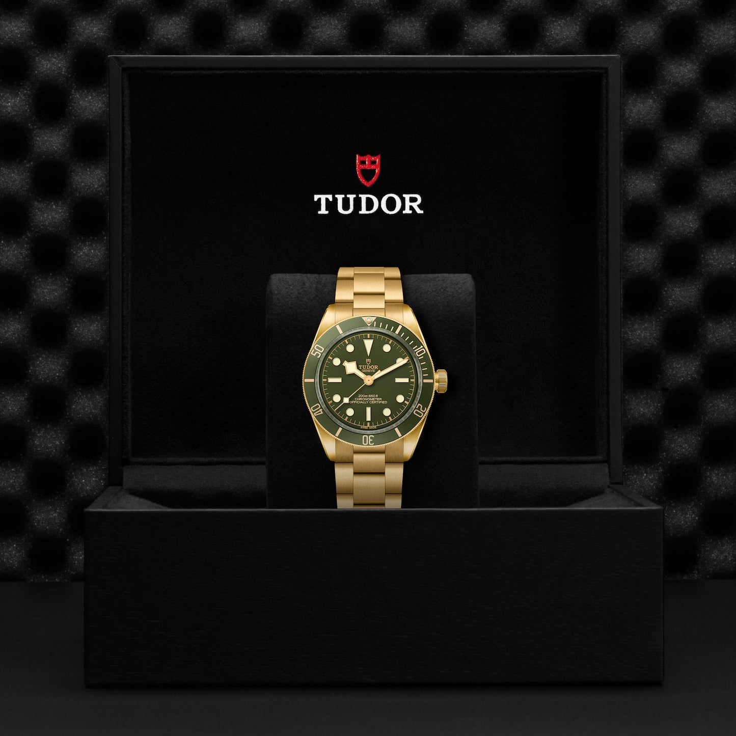 TUDOR BLACK BAY 18K M79018V-0006