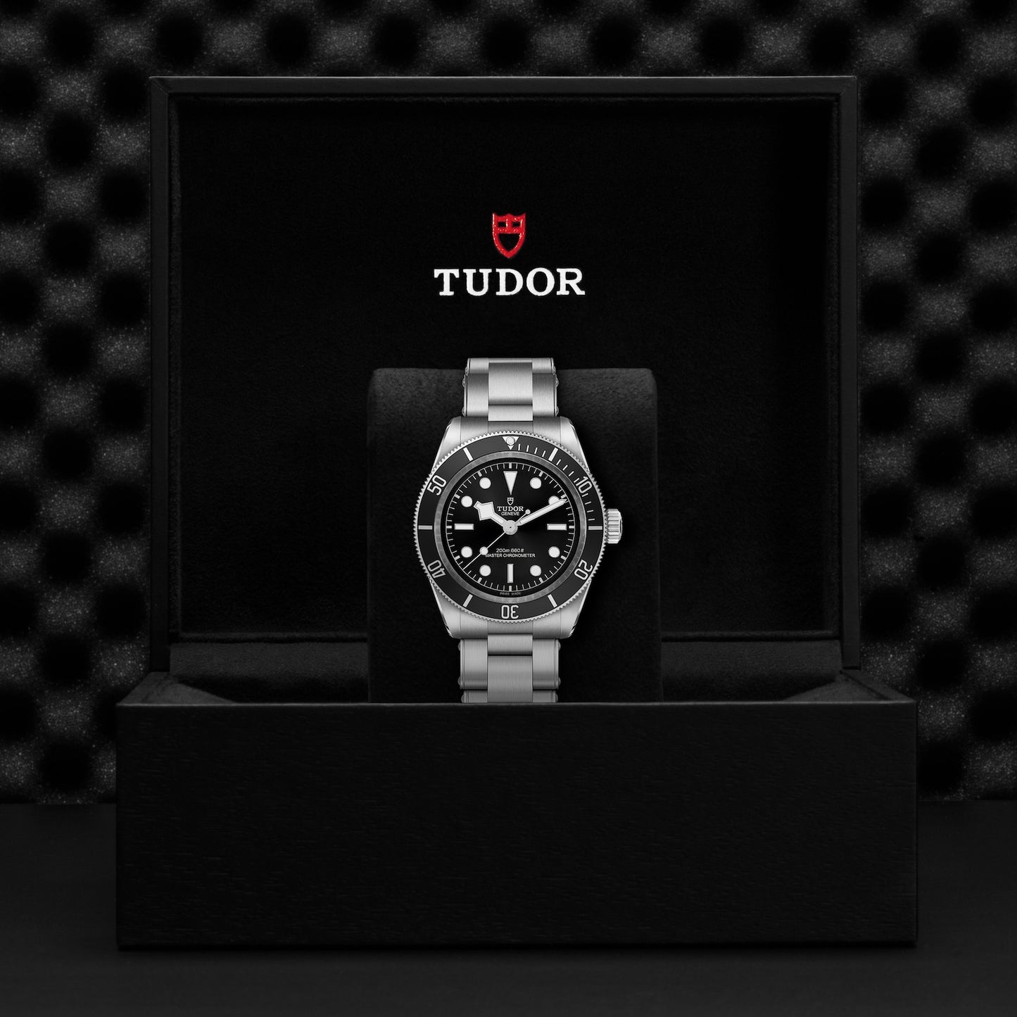TUDOR BLACK BAY M7941A1A0NU-0001