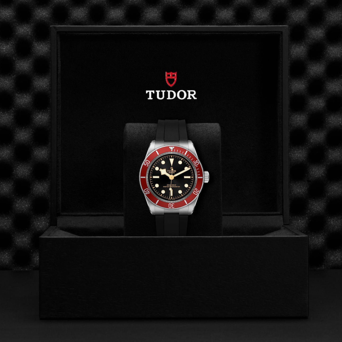 TUDOR BLACK BAY M7941A1A0RU-0002