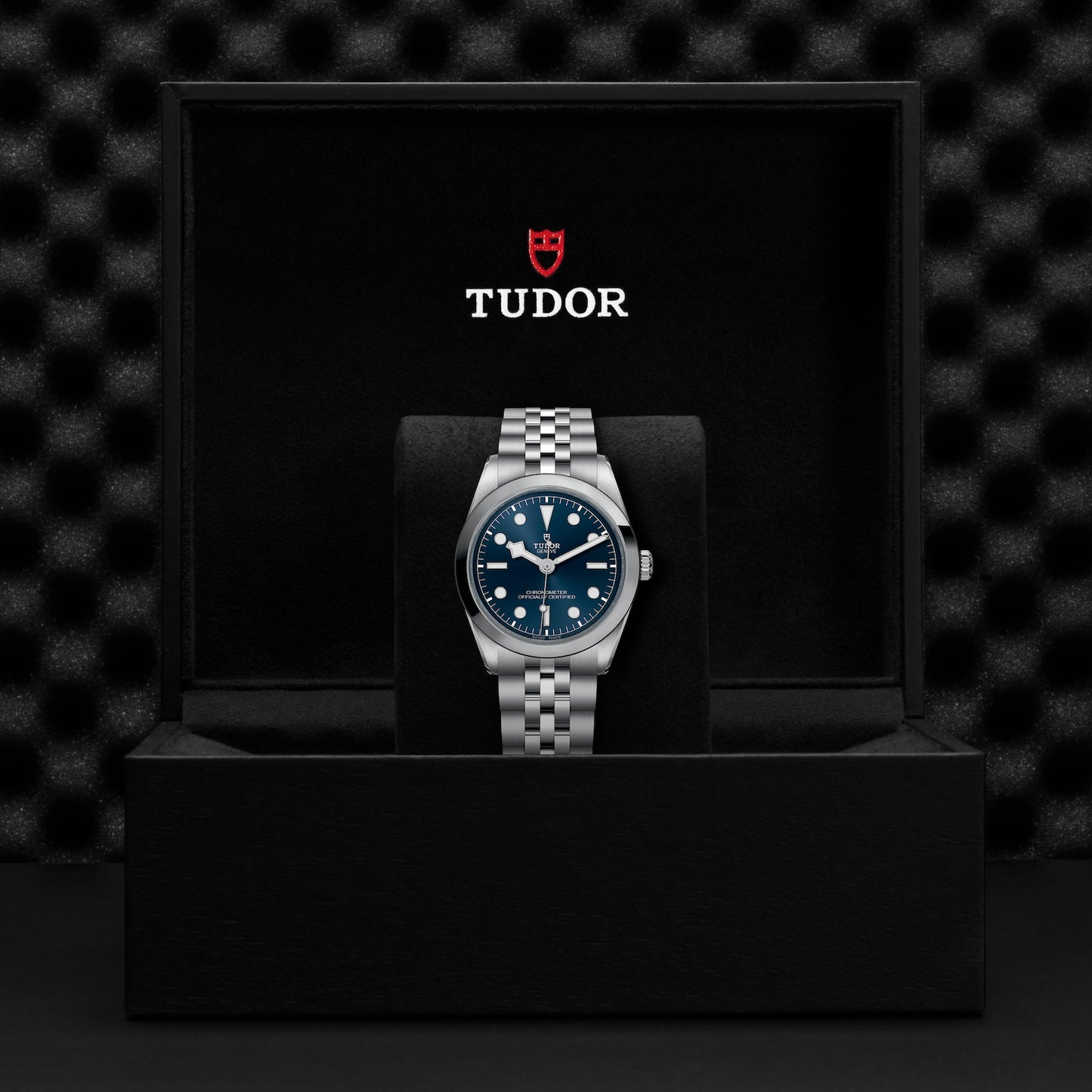 TUDOR BLACK BAY 36 M79640-0002