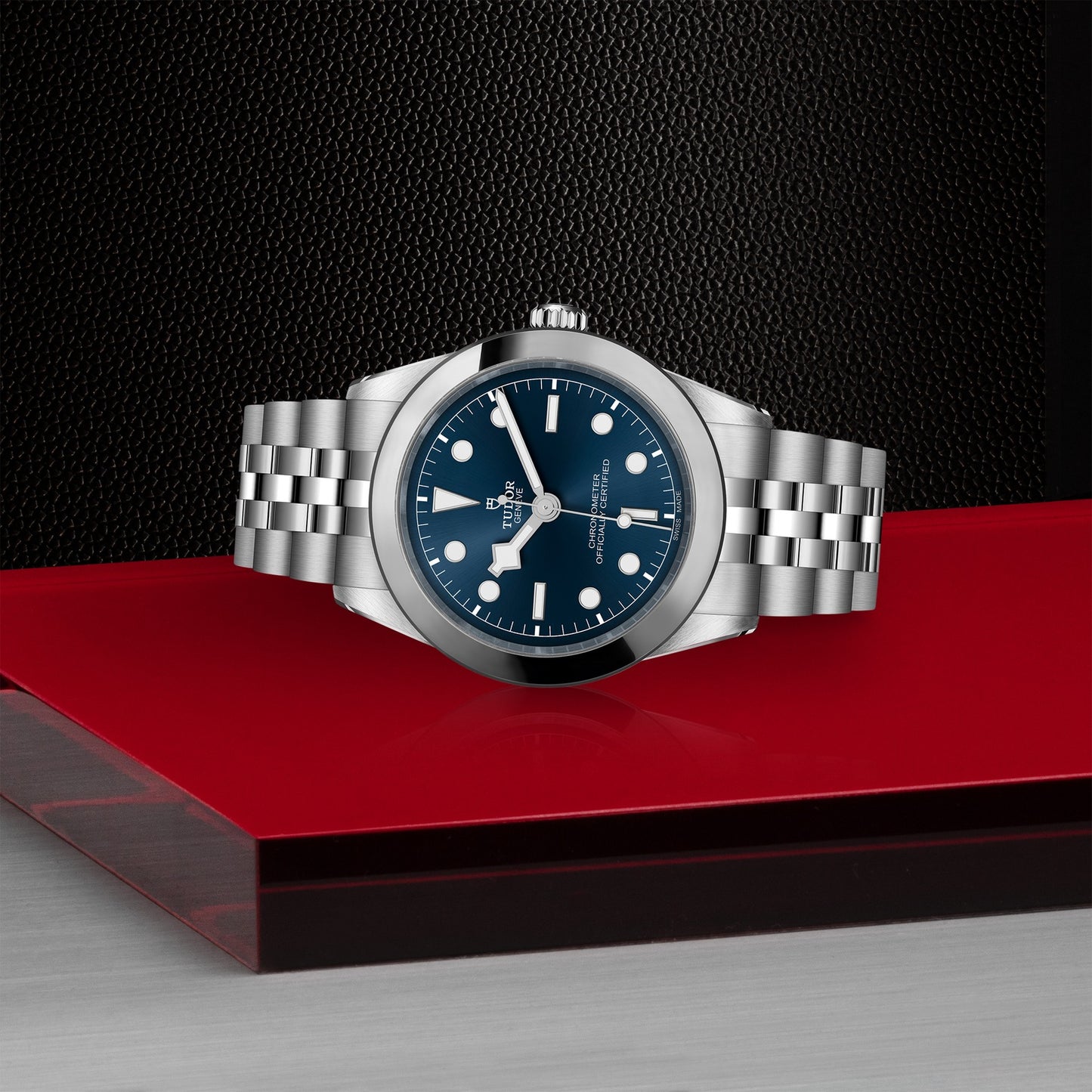 TUDOR BLACK BAY 39 M79660-0002