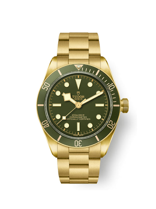 TUDOR BLACK BAY 18K M79018V-0006