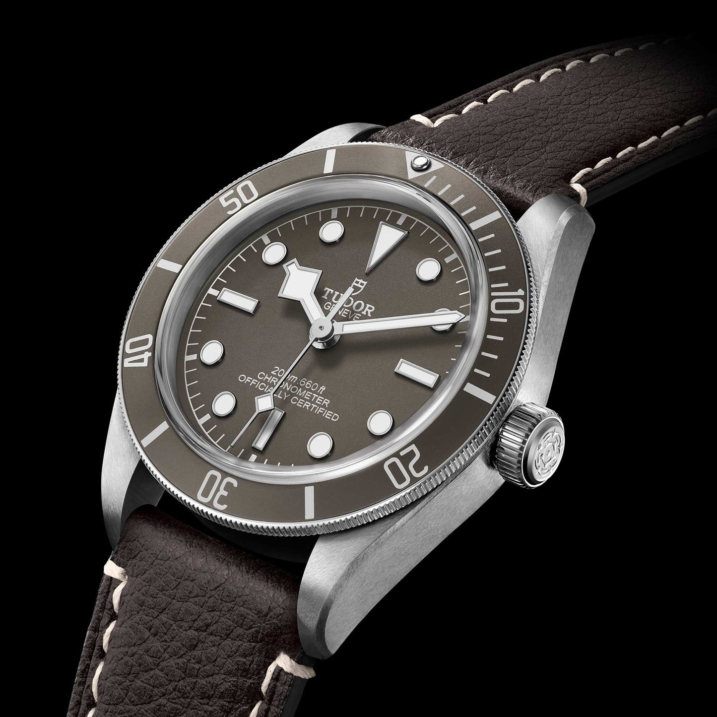 TUDOR BLACK BAY 58 925 M79010SG-0001
