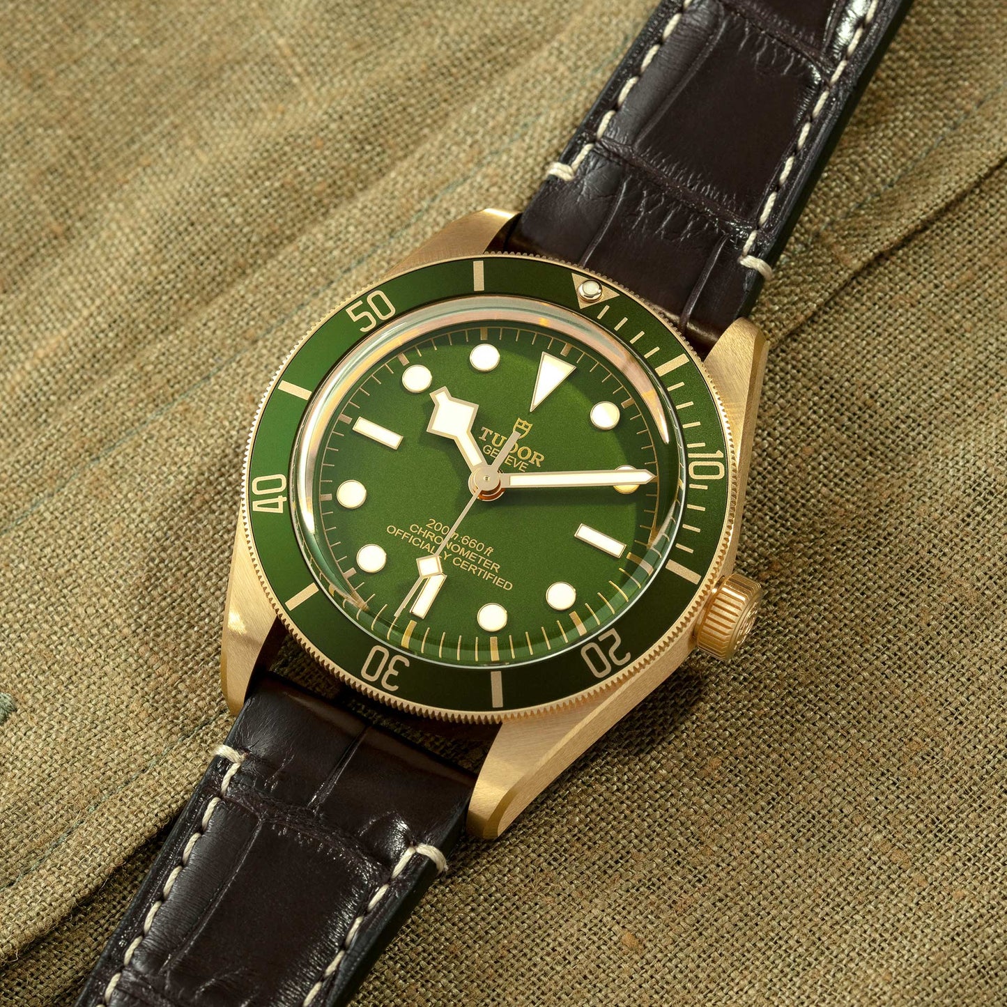 TUDOR BLACK BAY 58 18K M79018V-0001