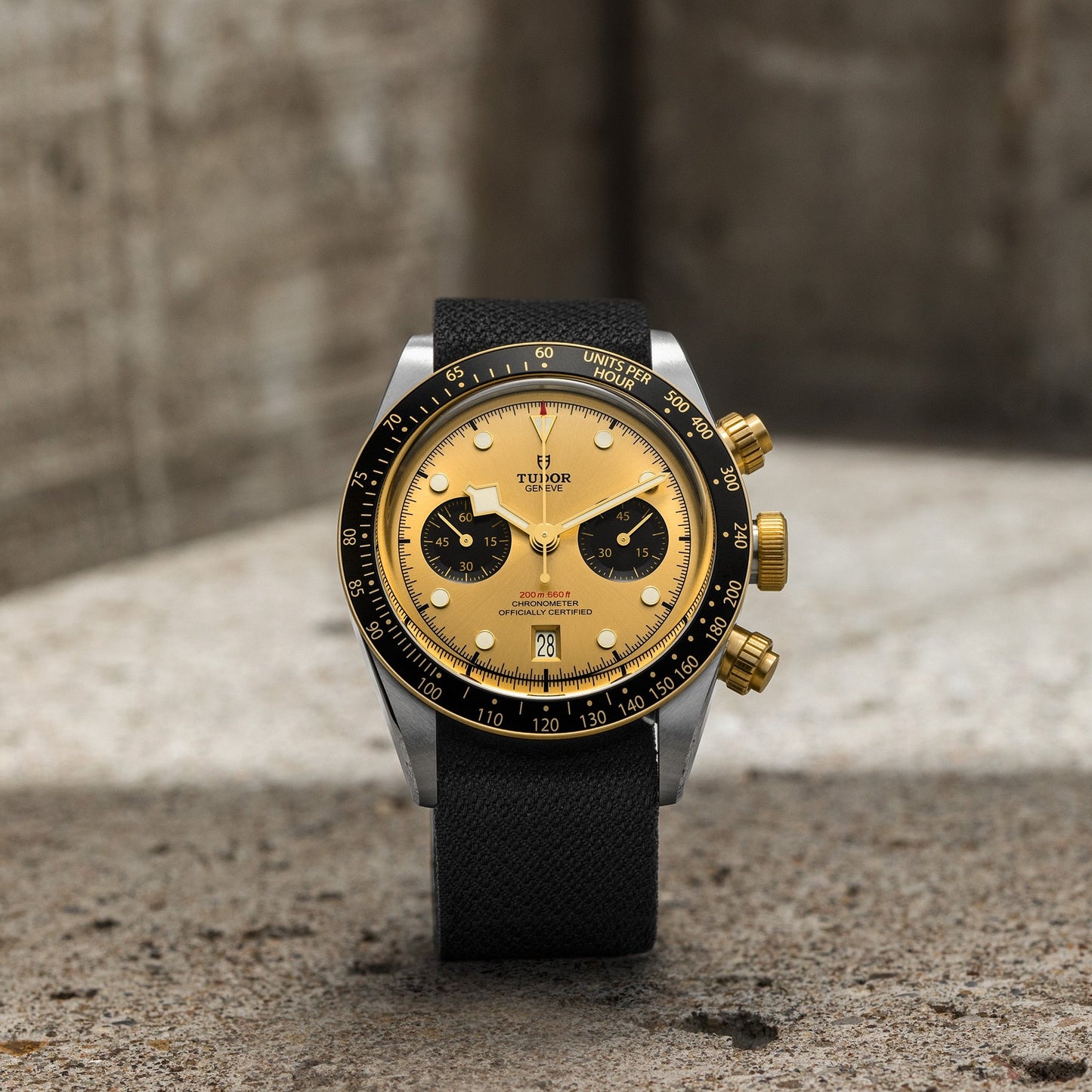 TUDOR BLACK BAY CHRONO S&G M79363N-0006