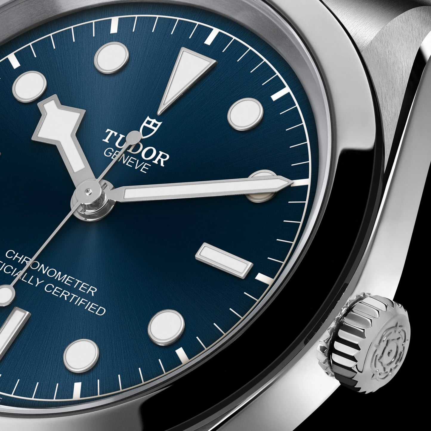 TUDOR BLACK BAY 36 M79640-0002