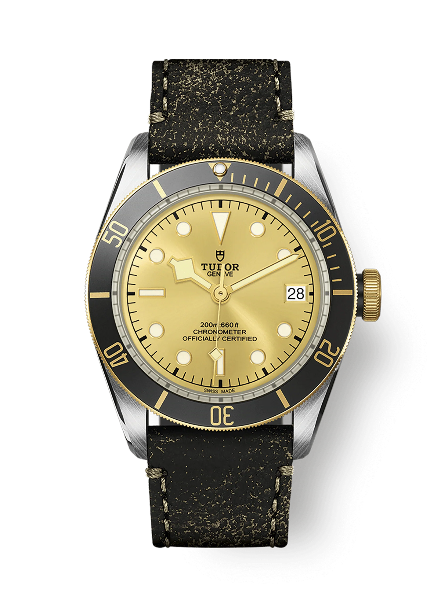 TUDOR BLACK BAY S&G M79733N-0003