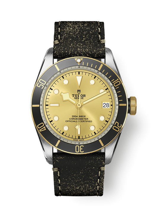 TUDOR BLACK BAY S&G M79733N-0003