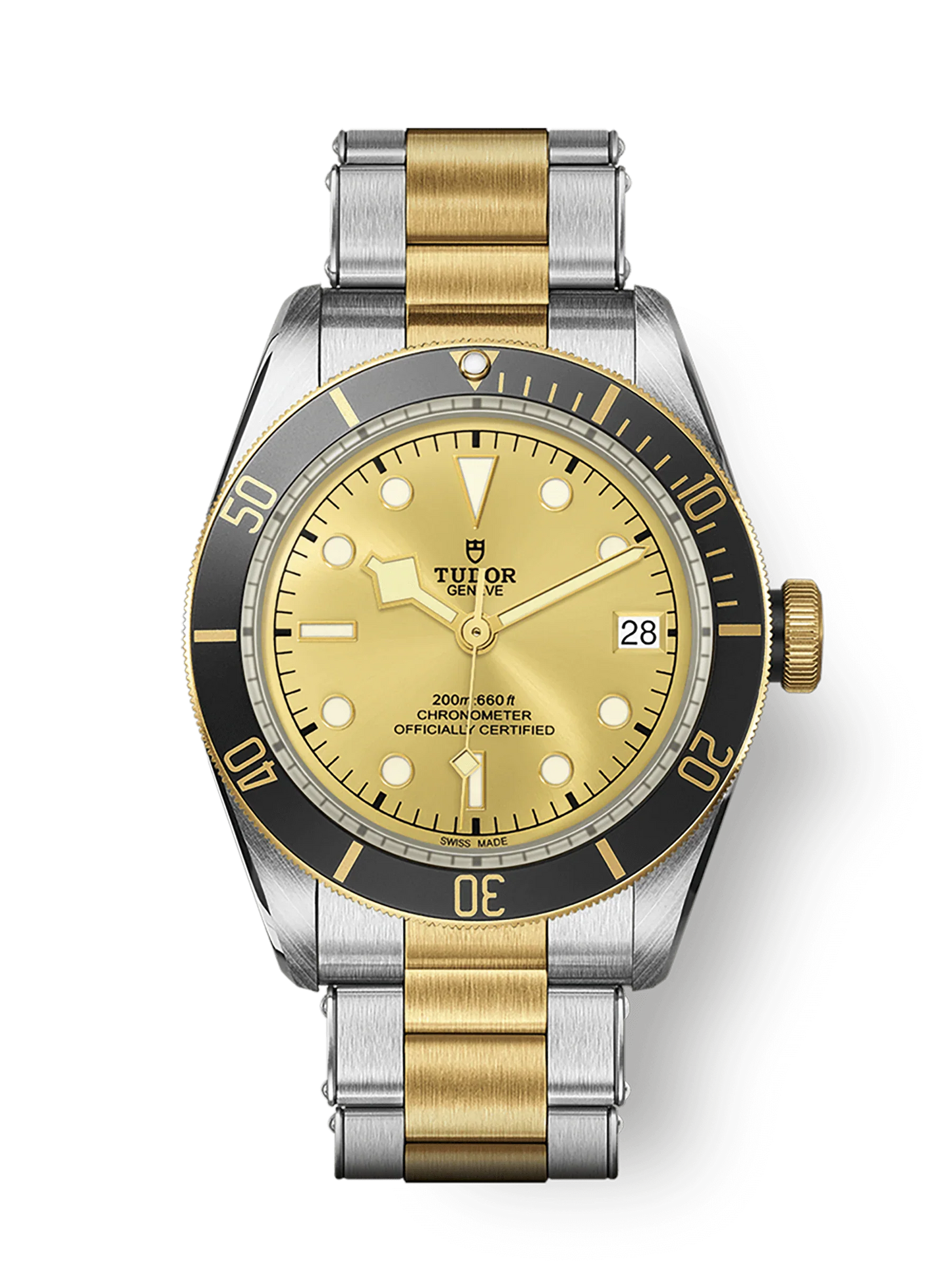 TUDOR BLACK BAY S&G M79733N-0004