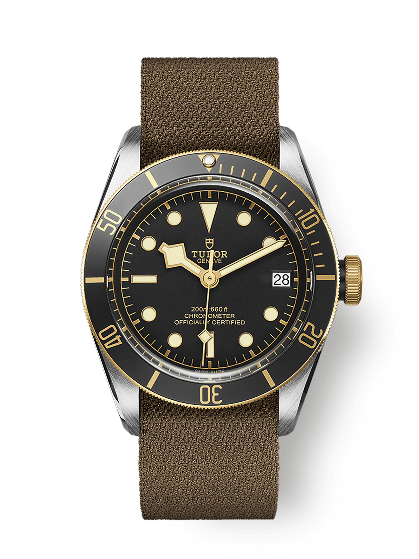 TUDOR BLACK BAY S&G M79733N-0005