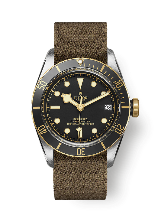 TUDOR BLACK BAY S&G M79733N-0005