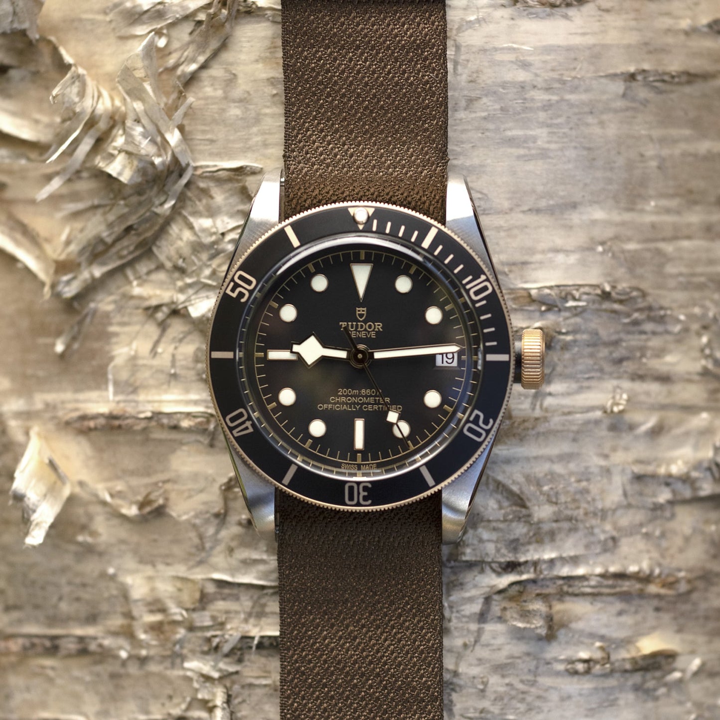 TUDOR BLACK BAY S&G M79733N-0005