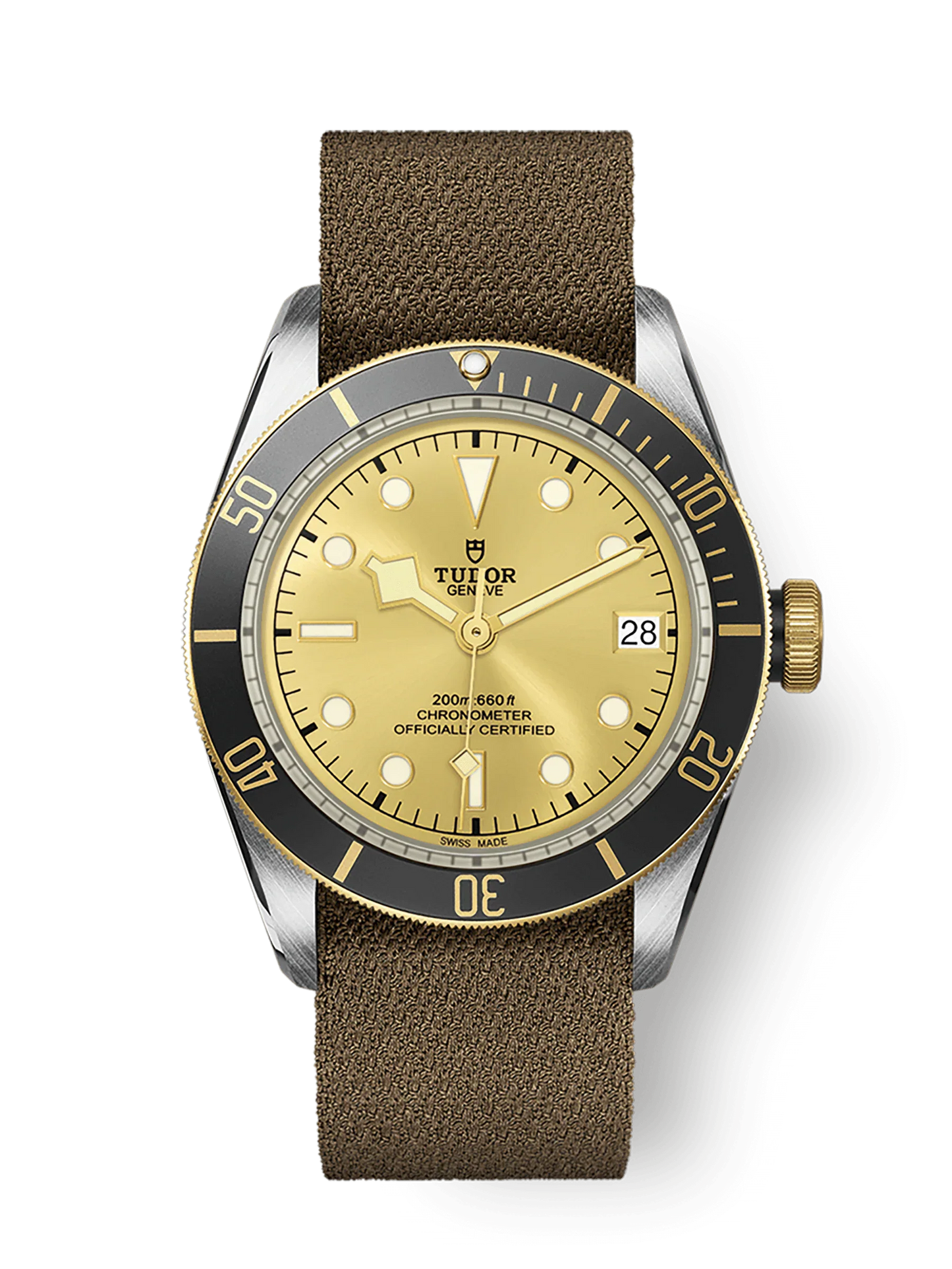 TUDOR BLACK BAY S&G M79733N-0006