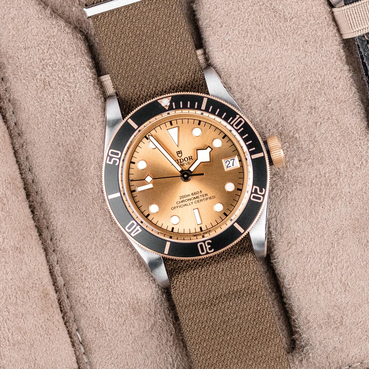 TUDOR BLACK BAY S&G M79733N-0006