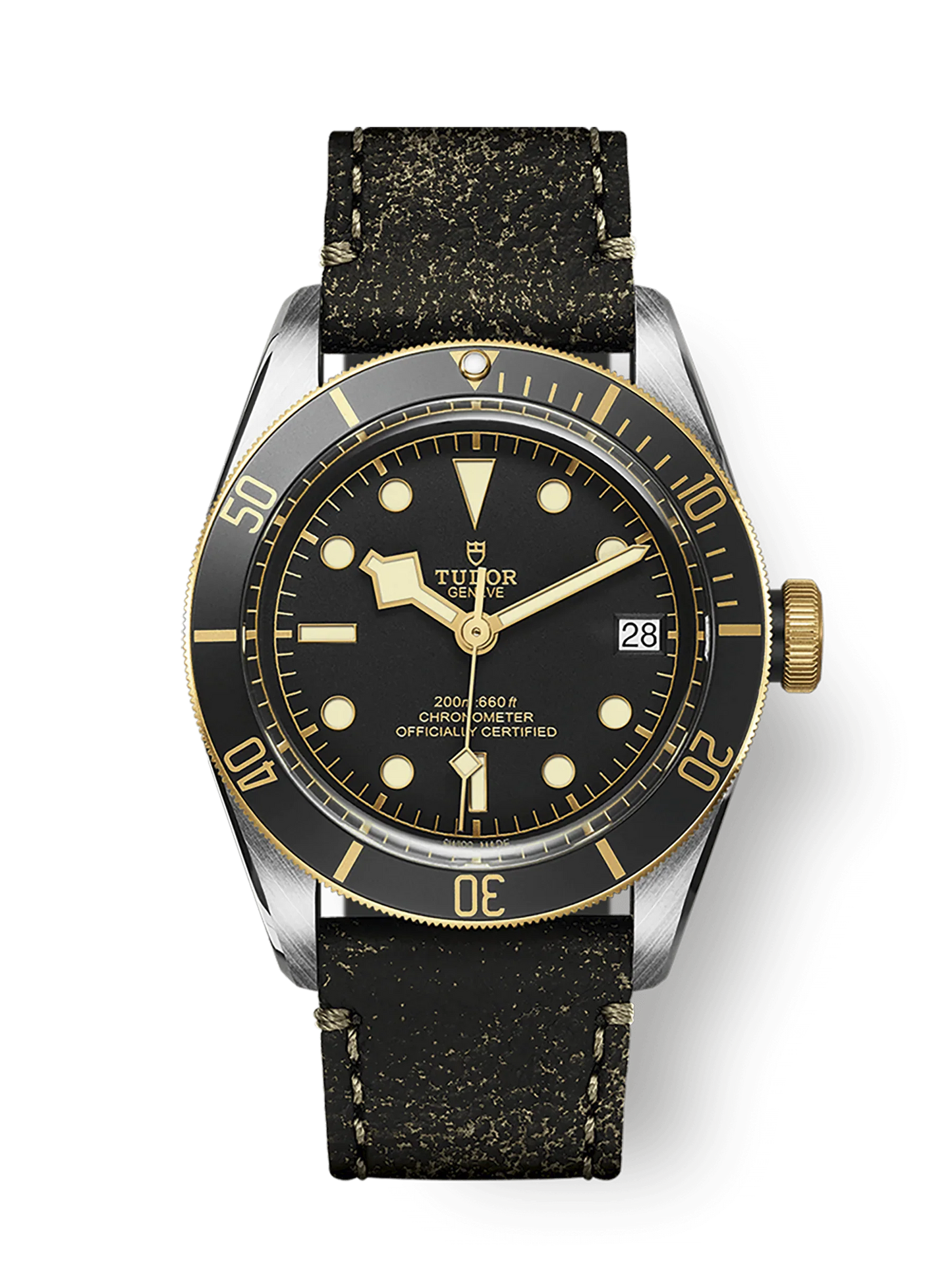 TUDOR BLACK BAY S&G M79733N-0007
