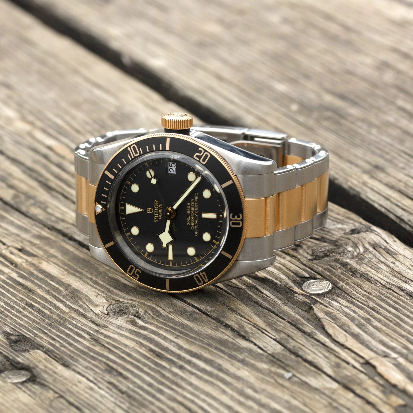 TUDOR BLACK BAY S&G M79733N-0008